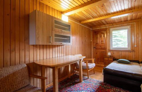 Nad Wigrami Agroturystyka Tarasiewicz - Foto 59