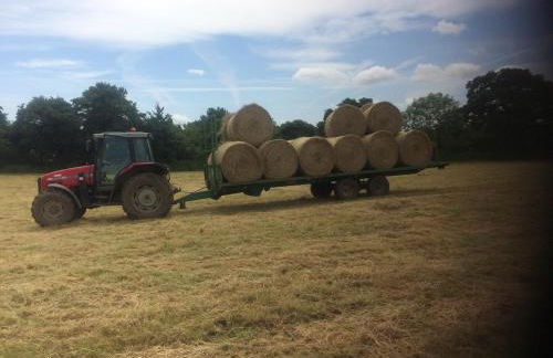 Rew Farm Country & Equestrian Accommodation - Sunrise Lodge - Foto 46