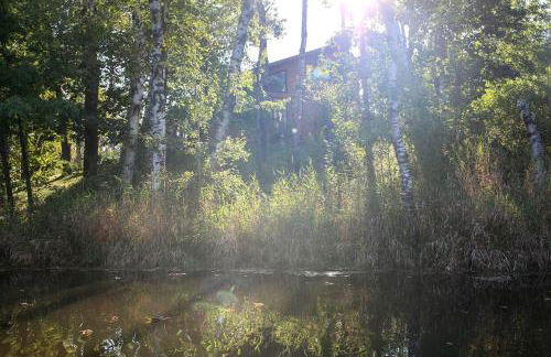 Lakefront Cabin Rental with a Paddle Boat near Wisconsin Dells, Wisconsin - Foto 25
