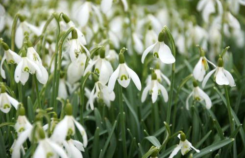 Schauenburgblick - Photo 23