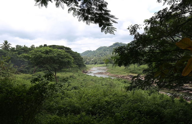 Riverside Homestay Apartments - Foto 21