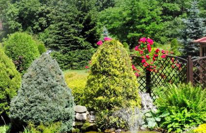 SKALNY apartamenty, pokoje - Foto 60