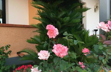 Residence Alithai - Foto 12