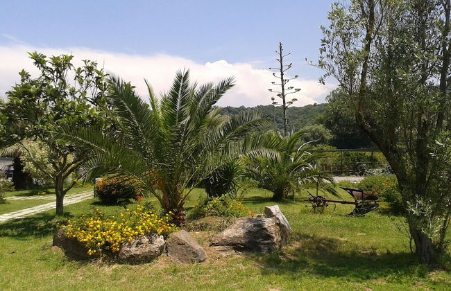 Il Casale delle Arance - Foto 21