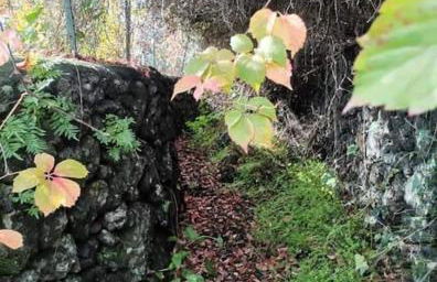 Casa Ultreia, appartamento - Foto 17