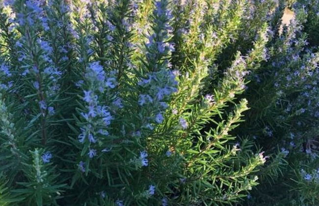 in Haus Tomica Comfortable Holiday Residence - Foto 17