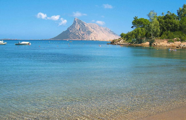 Apartment in Monte Petrosu Near San Teodoro - Foto 23