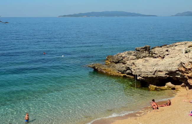 Plavac Mali - Foto 5