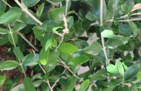 Haus Helga - Foto 12