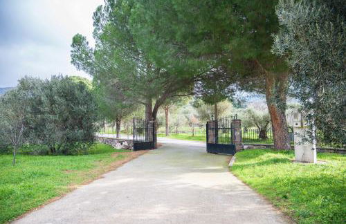 Mountain Voyage Residences - Serene Lesvos Retreats - Photo 12