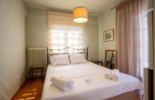 Τraditional fully detached villa on a luxurious hillock of Thessaloniki with its own garden also for family & wedding gatherings for 10 to 25 people only 15 minutes from airport - Foto 48