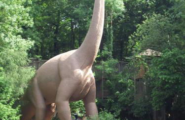 Zum Hecht, FeWo Spitzberg - Foto 80