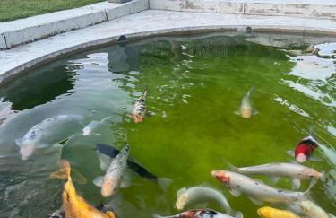 Ferienwohnung Alex - Foto 8