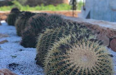 Villa Lumière - Foto 6