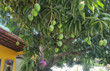 Apt Cristal -Geribá Residence - Photo 12