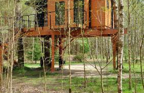 Domek na drzewie - Na Łośmiu Metrach - Foto 42