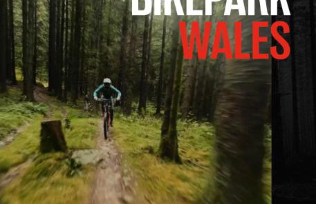 Herbert Place - Foto 55