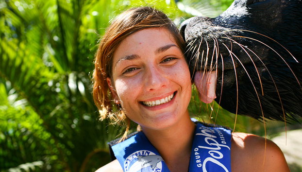 Sea Lion Encounter at Aquaventuras Park - Photo 2