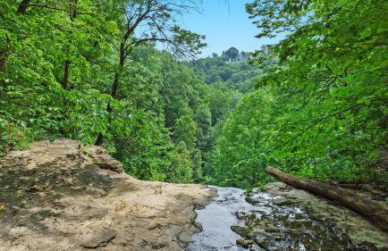 Pole Barn - Rustic 1BR Family Retreat with Open Views - Foto 63