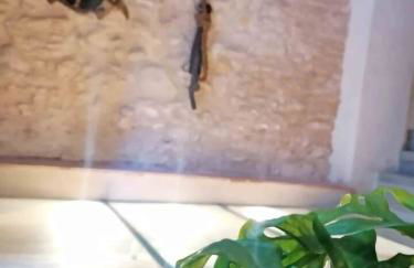 Disfruta de una escapada Rural en Ca la Lola - Foto 8