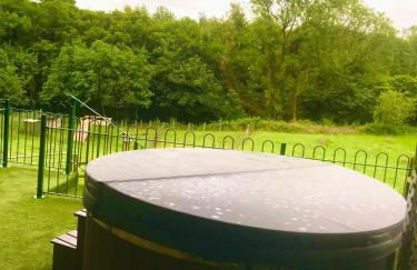 Wild Coastal Retreat at Troed Y Rhiw Aberporth, West Wales - Foto 30