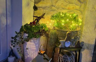 Villa AMore Radini Istrian antique stone house Studio with private parking and terrace - Foto 13