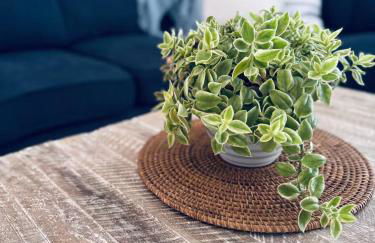 Golf Cart-Jacuzzi-Surfing Abode on Hutchinson Island - Foto 70