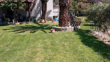 Sofia's Garden - Foto 3, Garden