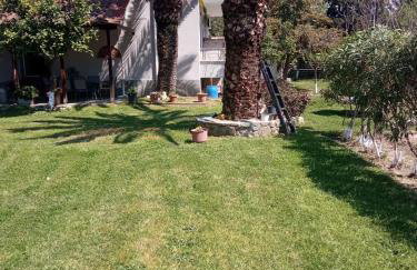 Sofia's Garden - Photo 3