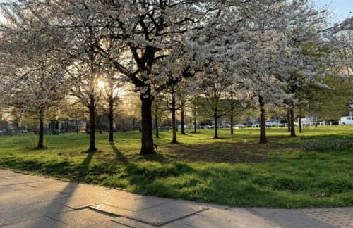 Business Travellers Studio FREE Late Check-Out - Foto 49