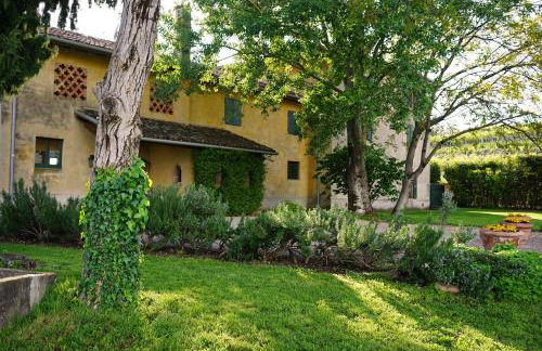 Domus Cariana - Foto 34