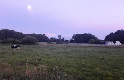 Apartamenty Sawino 4 - Foto 31