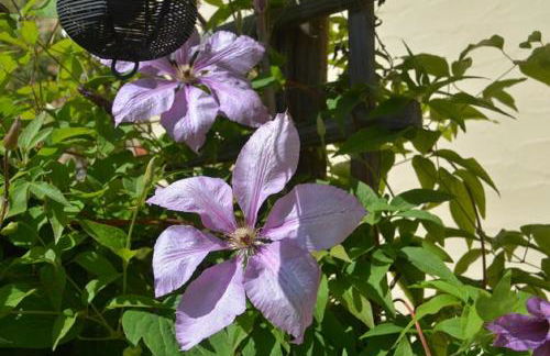 Ferienhaus der Seeweiherturm - Foto 34