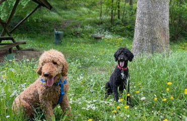 Ferienhaus Herztor - Foto 30