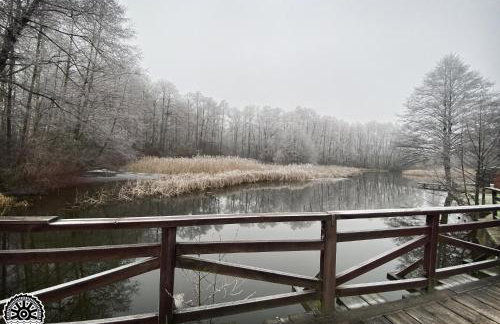 Mlyn Wodny EKO Hillar - Foto 53