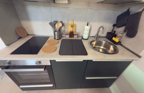 Salix Aurea - Foto 21