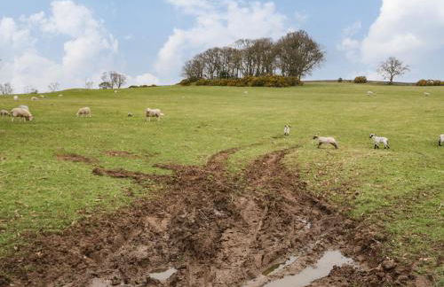 Shaw Cottage - Foto 13