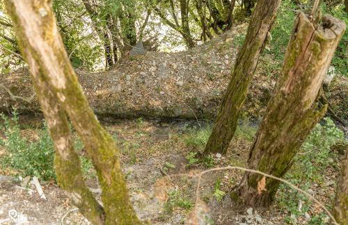 Myrtali's - Tzoumerka Mountain View Retreat - Foto 43