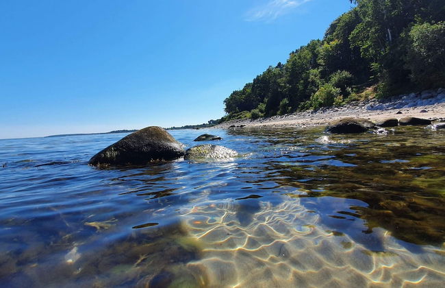 5 Star Holiday Home in Dronningmolle - Foto 67