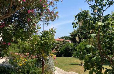 Apartment Bianca Premantura Istrien - Foto 34