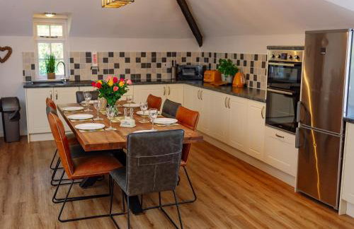 Number One - Ukc4963 - Foto 10