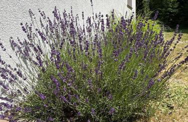 Roman Tarnawa "Nasz Domek" - Foto 4