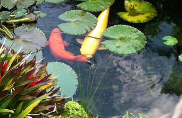 The Secret Garden Room - Foto 3