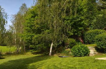 Quinta de Pindela - Natureza e Tradicao - Foto 38