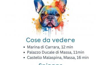 C è posto per te PETFRIENDLY - Foto 43