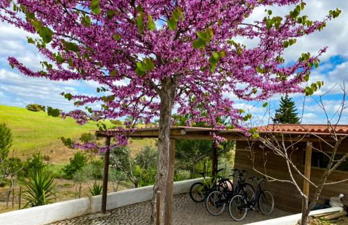 Vale da Lama - Foto 25