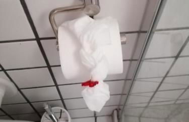 Il Gelsomino di Ossuccio - Foto 7