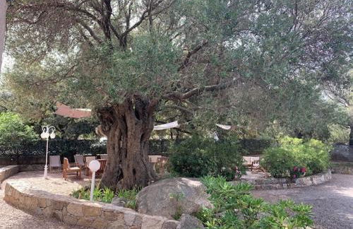 Residence Motel Corsicana - Foto 78