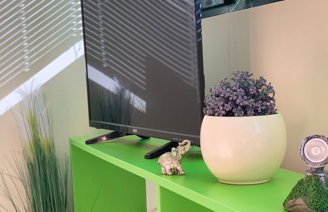 Apartments Petra - Foto 12