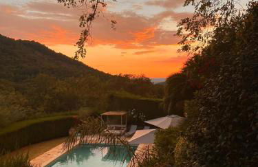 Le Mouron Rouge - Foto 23